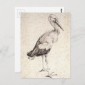 The Stork van Albrecht Durer Briefkaart (Voorkant / Achterkant)