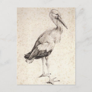 The Stork van Albrecht Durer Briefkaart