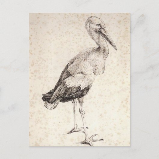 The Stork van Albrecht Durer Briefkaart (Voorkant)