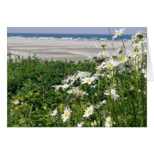 "The Summer Ocean Daisy"