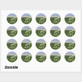 "The Summer Ocean Daisy" Ronde Sticker (Vel)