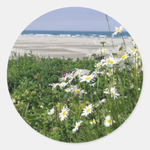 "The Summer Ocean Daisy" Ronde Sticker