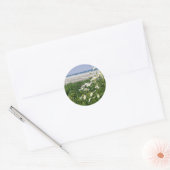 "The Summer Ocean Daisy" Ronde Sticker (Envelop)