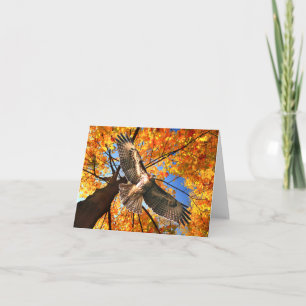 "The Sunday Hawk"-briefkaart Notitiekaartje