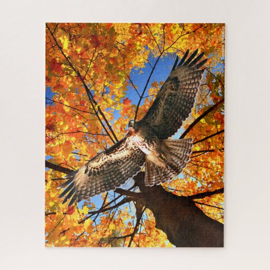 "The Sunday Hawk" Legpuzzel (Verticaal)