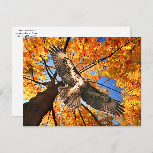"The Sunday Hawk" Postcard Briefkaart (Voorkant / Achterkant)