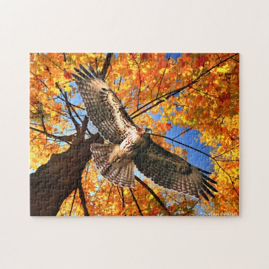 "The Sunday Hawk" Puzzle Legpuzzel (Horizontaal)