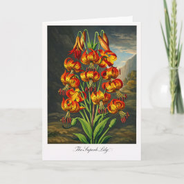 The Superb Lily — Modern Botanical Reinterpretatio Kaart