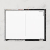 The Swan, Group IX, No.2 van Hilma af Klint Briefkaart (Achterkant)