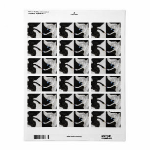 The Swan No.1 van Hilma af Klint Etiket