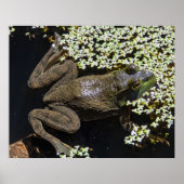 The Swimmer Poster (Voorkant)