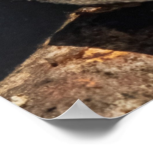 The Swimmer Poster (Hoek)