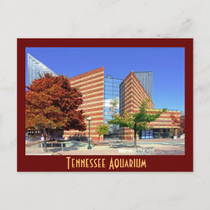 The Tennessee Aquarium - Chattanooga, TN. Briefkaart