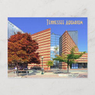 The Tennessee Aquarium - Chattanooga, TN. Briefkaart