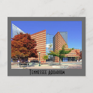 The Tennessee Aquarium - Chattanooga, TN. Briefkaart
