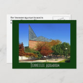 The Tennessee Aquarium - Chattanooga, TN. Briefkaart (Voorkant / Achterkant)