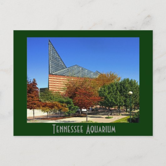The Tennessee Aquarium - Chattanooga, TN. Briefkaart (Voorkant)