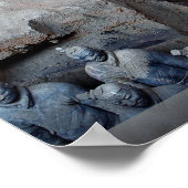 The Terra-cotta Warriors, Xi'an, China Poster (Hoek)