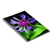 THE Thistle Notitieboek (Rechterzijde)