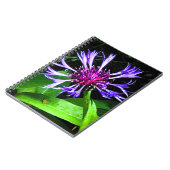 THE Thistle Notitieboek (Linkerzijde)