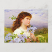 The Time of the Lilics Sophie Anderson PC Briefkaart (Voorkant)