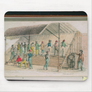 The Tread Mill Muismat