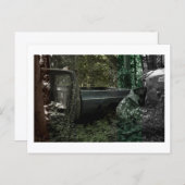 The Truck by JeffreyH.Thornton: Approachable Wolf Briefkaart (Voorkant / Achterkant)