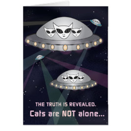 The Truth Is Revealed: Cats Are Not Alone!