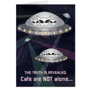 The Truth Is Revealed: Cats Are Not Alone!