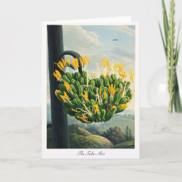 The Tube Aloe — Modern Botanical Reinterpretation Kaart