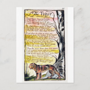 "The Tyger", bord 36 (Bentley 42) Briefkaart