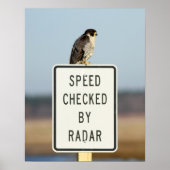 The Ultimate Irony Poster (Voorkant)