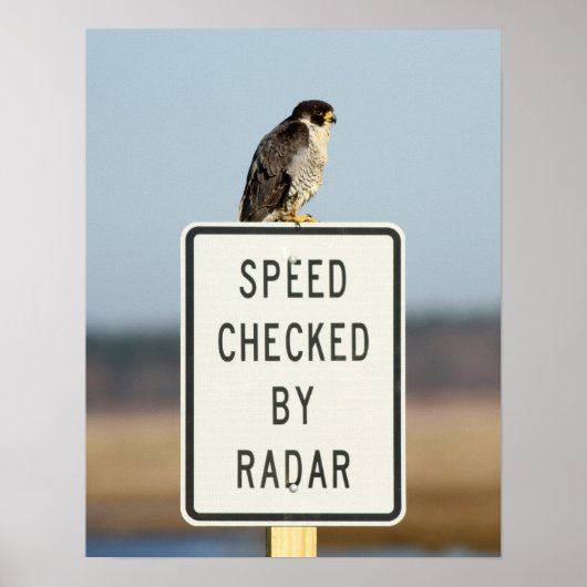 The Ultimate Irony Poster (Voorkant)