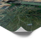 The University of Oxford, Oxford, Verenigd Koninkr Poster (Hoek)