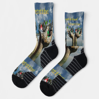 The Unlikely Hero: Witness the "Frog That Carries  Sokken