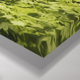 The Unreal Estate PR-T26 Redwood water Commune Canvas Afdruk