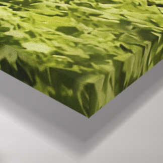 The Unreal Estate PR-T26 Redwood water Commune Canvas Afdruk