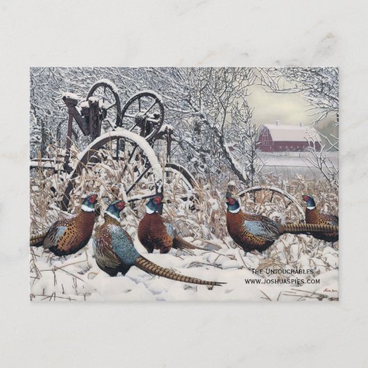 "The Untouchables" door Joshua Spies Briefkaart (Voorkant)