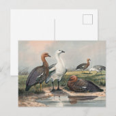 The Upland Goose van Joseph Wolf Briefkaart (Voorkant / Achterkant)