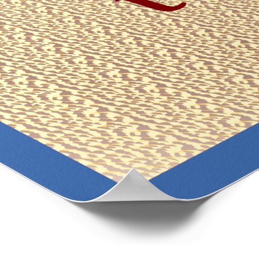 The USA Belongs to the People Poster (Hoek)