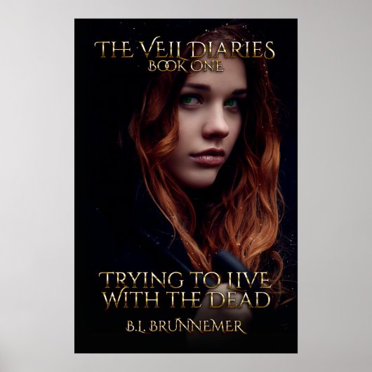The Veil Diaries Book I Poster (Voorkant)