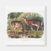 The viparous quadrupeds by John James Audubon Magneet (Voorkant)