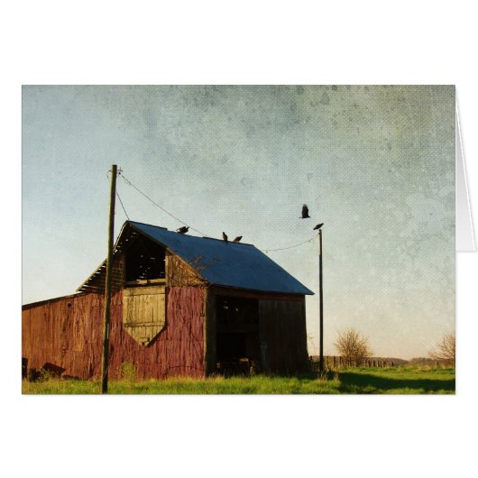 The Vultures and the Barn (Voorkant Horizontaal)