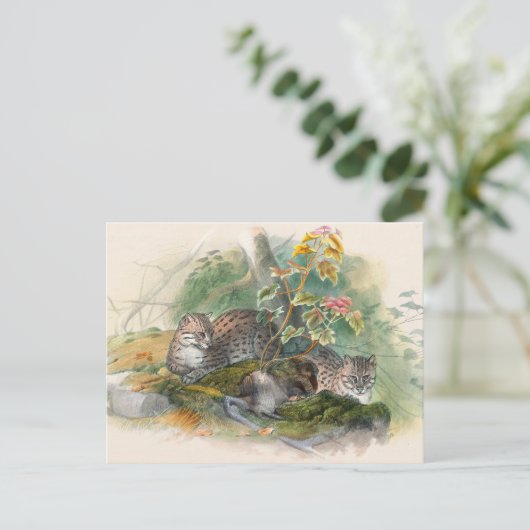 The Wagati Cat by Joseph Wolf Briefkaart (Staand voorkant)