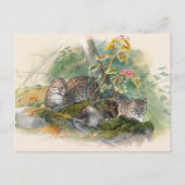 The Wagati Cat by Joseph Wolf Briefkaart (Voorkant)