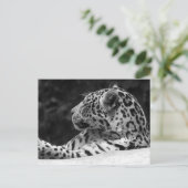 The Waking Leopard Briefkaart (Staand voorkant)