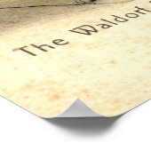 The Waldorf Astoria, New York City 1908  Poster (Hoek)