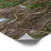 The Walk About Poster (Hoek)