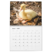 The Walking Ducks 2015 Calender Kalender (Mar 2027)