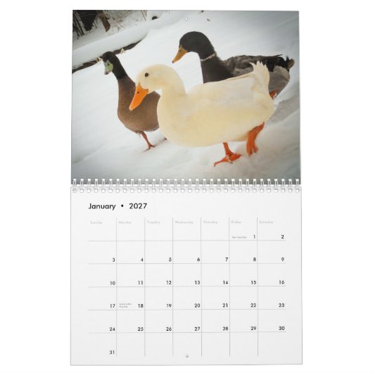 The Walking Ducks 2015 Calender Kalender (Jan 2027)